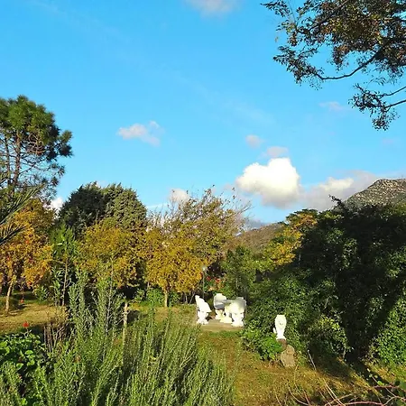 Home, Solanas Apartment
